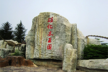 硅化木王国主题公园