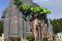 森林王国景区